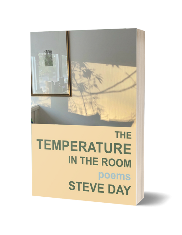 The Temperature in the Room - Steve Day (Paperback) 01-11-2024 