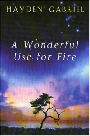 A Wonderful Use for Fire - Hayden Gabriel (Paperback) 19-11-2004 