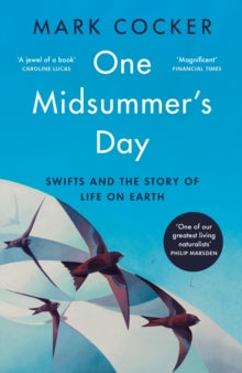 One Midsummer's Day: Swifts and the Story of Life on Earth - Mark Cocker (Paperback) 13-06-2024 