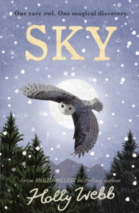 Sky - Holly Webb (Paperback) 12-10-2023 