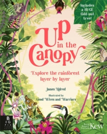 Up in the Canopy: Explore the Rainforest, Layer by Layer - James Aldred; Good Wives and Warriors (Hardback) 24-10-2024 