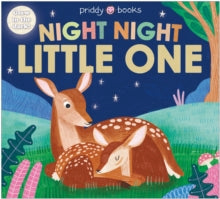 Night Night Books  Night Night Little One - Roger Priddy (Board book) 26-09-2024 