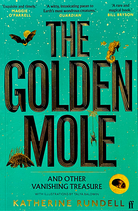 The Golden Mole - Independent Edition with different colour jacket - Katherine Rundell; Talya Baldwin (Paperback) 02-11-2023