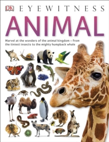 DK Eyewitness  Animal - DK (Paperback) 01-06-2015 