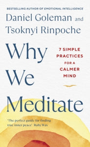 Why We Meditate: 7 Simple Practices for a Calmer Mind - Daniel Goleman; Tsoknyi Rinpoche (Hardback) 29-12-2022 