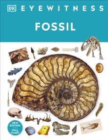 DK Eyewitness  Fossil - DK; Dr Paul David Taylor (Hardback) 07-12-2023 