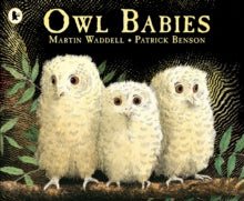 Owl Babies - Martin Waddell; Patrick Benson (Paperback) 08-09-1994 