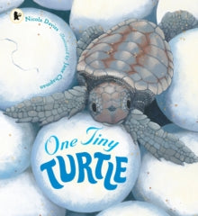 One Tiny Turtle - Nicola Davies; Jane Chapman (Paperback) 30-07-2015 