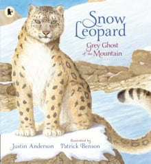 Nature Storybooks  Snow Leopard: Grey Ghost of the Mountain - Justin Anderson; Patrick Benson (Paperback) 01-10-2020 