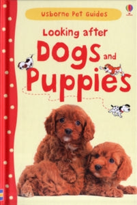 Pet Guides  Looking after Dogs and Puppies - Katherine Starke; Christyan Fox (Hardback) 01-01-2013 