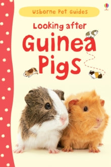 Pet Guides  Looking after Guinea Pigs - Laura Howell; Christyan Fox (Hardback) 01-06-2013 