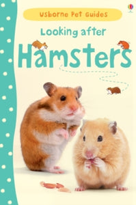 Pet Guides  Looking after Hamsters - Susan Meredith; Susan Meredith; Christyan Fox (Hardback) 01-06-2013 