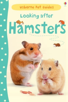 Pet Guides  Looking after Hamsters - Susan Meredith; Susan Meredith; Christyan Fox (Hardback) 01-06-2013 