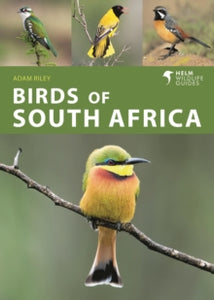 Helm Wildlife Guides  Birds of South Africa - Adam Riley (Paperback) 15-09-2022 