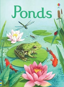 Beginners  Ponds - Emily Bone; Lucie Rioland (Hardback) 04-04-2019 