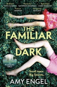 The Familiar Dark: The must-read, twisty book club thriller that will blow you away - Amy Engel (Paperback) 03-02-2022 