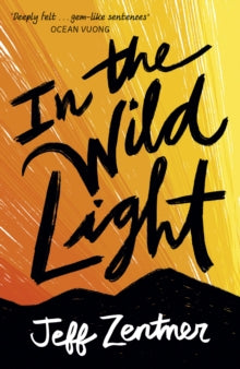 In the Wild Light - Jeff Zentner (Paperback) 05-08-2021 Nominated for CILIP Carnegie Medal 2022 (UK).