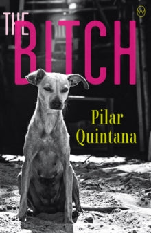 The Bitch - Pilar Quintana; Lisa Dillman (Paperback) 06-08-2020 